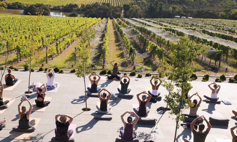 Group of people practicing outdoor yoga on a sunny day, overlooking lush green vineyards at a scenic winery location