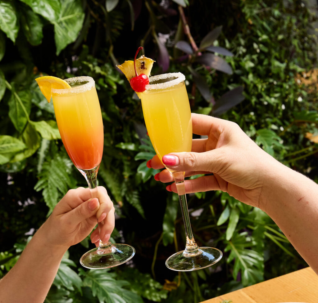 Two guests clinking tropical mimosas during Boozy Brunch at The Winey Cow, with a spread of gourmet brunch dishes including a crispy chicken burger with sweet potato fries, wonton tacos, and seasoned fries, set against a lush green backdrop.